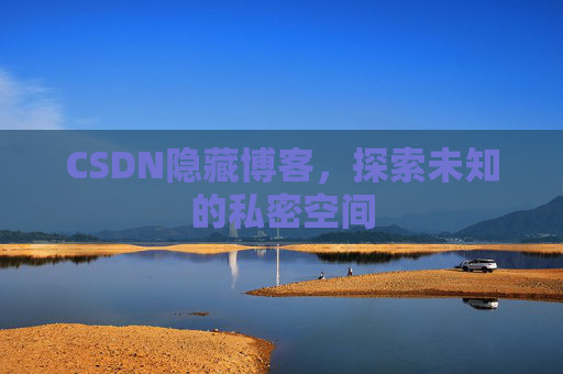 CSDN隐藏博客，探索未知的私密空间